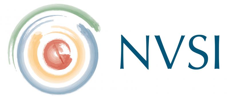 Logo NVSI